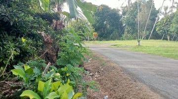 Gambar 1 Jual Tanah Kebun Buah Luas Kecil Di Tabanan Bali.