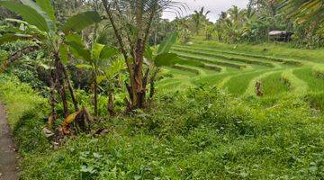 Gambar 5 Tanah kebun + sawah los sungai murah di bali