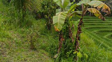 Gambar 1 Tanah kebun + sawah los sungai murah di bali