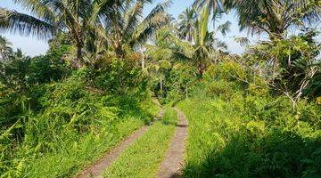 Gambar 1 Tanah Kebun View Laut Murah Di Tabanan Bali