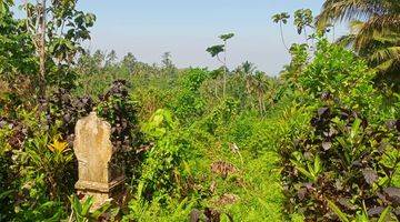 Gambar 3 Tanah Kebun View Laut Murah Di Tabanan Bali