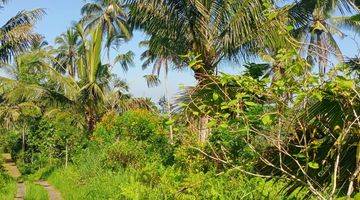 Gambar 5 Tanah Kebun View Laut Murah Di Tabanan Bali