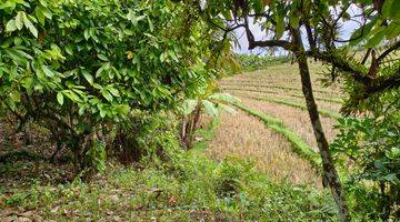 Gambar 1 Tanah kebun Los sungai view sawah di tabanan bali