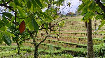 Gambar 2 Tanah kebun Los sungai view sawah di tabanan bali