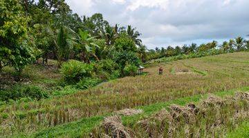 Gambar 3 Tanah kebun Los sungai view sawah di tabanan bali