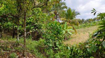 Gambar 5 Tanah kebun Los sungai view sawah di tabanan bali