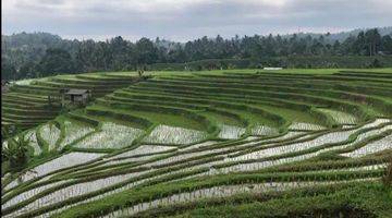 Gambar 3 Tanah view sawah terasering sudah aspek perumahan. 