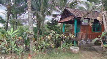 Gambar 4 Tanah luasan kecil,view sawah harga terjangkau.