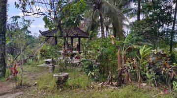 Gambar 5 Tanah luasan kecil,view sawah harga terjangkau.