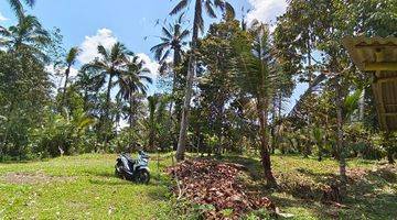 Gambar 5 Dijual Tanah kebun manggis dan durian siap panen