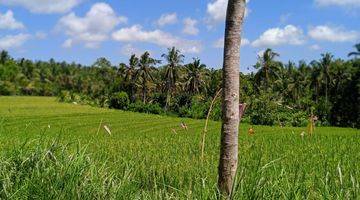 Gambar 4 Tanah kebun view sawah Los sungai di bali.