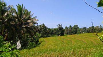 Gambar 1 Tanah kebun view sawah Los sungai di bali.