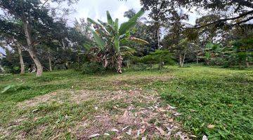 Gambar 5 Tanah Kebun Durian Dan Alputakat View Sawah Gunung Di Tabanan Bali.