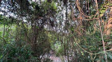 Gambar 2 Tanah Kebun Luas Kecil Los Sungai View Sawah Di Tabanan Bali