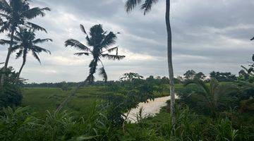 Gambar 2 Tanah Kebun Durian Dan Alputakat View Sawah Gunung Di Tabanan Bali.