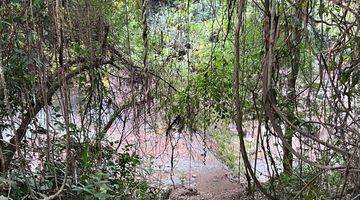 Gambar 1 Tanah Kebun Luas Kecil Los Sungai View Sawah Di Tabanan Bali