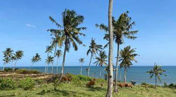 Gambar 4 Tanah Los Pantai Dekat Pantai Surving Balian Tabanan Bali