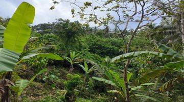 Gambar 4 Tanah Kebun Luas Kecil View Sawah Los Sungai Di Tabanan Bali.