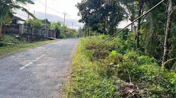 Gambar 5 Tanah Kebun Luas Kecil Los Sungai View Sawah Di Tabanan Bali