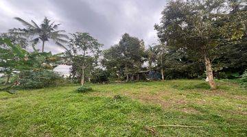 Gambar 1 Tanah Kebun Durian Dan Alputakat View Sawah Gunung Di Tabanan Bali.