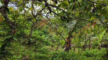 Gambar 5 Tanah Kebun Luas Kecil View Sawah Los Sungai Di Tabanan Bali.