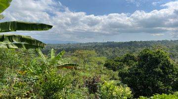 Gambar 3 Tanah Buah View Gunung Dan Lembah Indah Di Tabanan Bali.