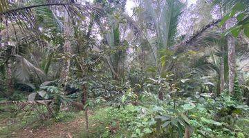 Gambar 4 Tanah Kebun Buah Los Sungai Lembah Indah Di Tabanan Bali.