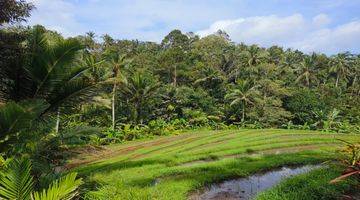 Gambar 5 Tanah Kebun Luas Kecil View Sawah Los Sungai Di Tabanan Bali.