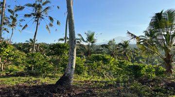 Gambar 2 Tanah Kebun View Gunung Cantik Dekat Jalan Utama Murah Di Tabanan Bali.