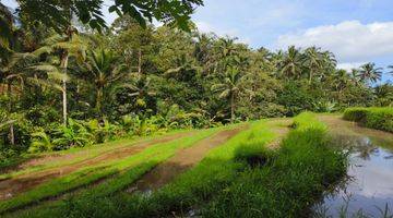 Gambar 3 Tanah Kebun Luas Kecil View Sawah Los Sungai Di Tabanan Bali.