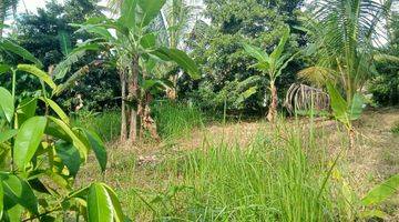 Gambar 5 Jual Tanah Kebun Buah Luas Kecil Di Tabanan Bali.