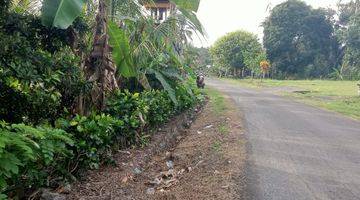 Gambar 4 Jual Tanah Kebun Buah Luas Kecil Di Tabanan Bali.