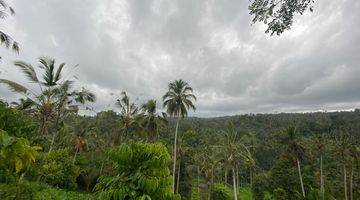 Gambar 4 Tanah Kebun View Gunung Cantik Dekat Jalan Utama Murah Di Tabanan Bali.