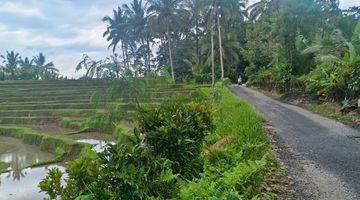 Gambar 4 Jual Tanah Kebun Luasan Kecil View Sawah Terasering Di Tabanan Bali.