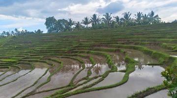 Gambar 3 Jual Tanah Kebun Luasan Kecil View Sawah Terasering Di Tabanan Bali.