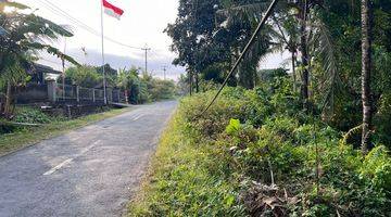 Gambar 3 Tanah Kebun Luas Kecil Los Sungai View Sawah Di Tabanan Bali