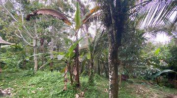 Gambar 2 Tanah Kebun Buah Los Sungai Lembah Indah Di Tabanan Bali.