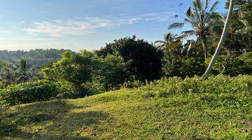 Gambar 1 Tanah Kebun View Gunung Cantik Dekat Jalan Utama Murah Di Tabanan Bali.