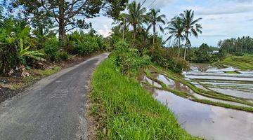 Gambar 1 Jual Tanah Kebun Luasan Kecil View Sawah Terasering Di Tabanan Bali.