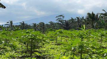 Gambar 1 Tanah Kebun Durian Contour Datar View Gunung Di Tabanan Bali