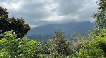 Gambar 1 Tanah Buah View Gunung Dan Lembah Indah Di Tabanan Bali.