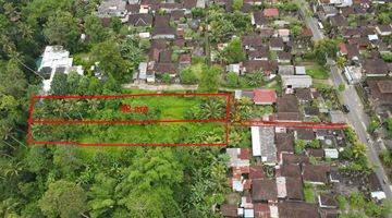 Gambar 3 Di Jual Tanah SHM 2.100 m² River View Ubud