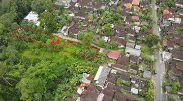 Gambar 2 Di Jual Tanah SHM 2.100 m² River View Ubud