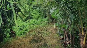 Gambar 4  Di Jual Tanah di Ubud 4200m2 Pemandangan Sungai Petanu