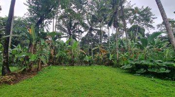 Gambar 4 Di Jual 1000m Persegi Tanah Shm, 255 Juta Per Are Keliki Ubud 