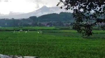 Gambar 4 Jual SAWAH aktif Pinggir Jalan Di GARUT tarogong Kaler