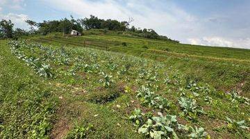 Gambar 1 Tanah Sawah Pinggir Jalan di Jual di Bayongbong Garut