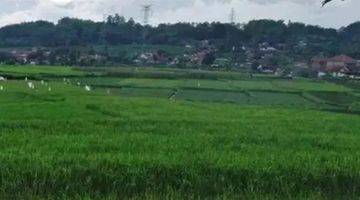 Gambar 3 Jual SAWAH aktif Pinggir Jalan Di GARUT tarogong Kaler