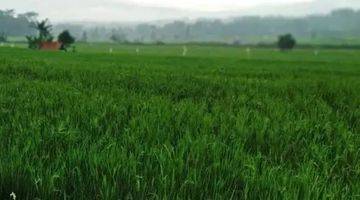 Gambar 2 Jual SAWAH aktif Pinggir Jalan Di GARUT tarogong Kaler