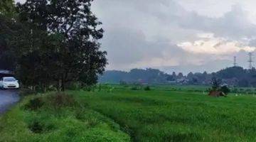 Gambar 5 Jual SAWAH aktif Pinggir Jalan Di GARUT tarogong Kaler